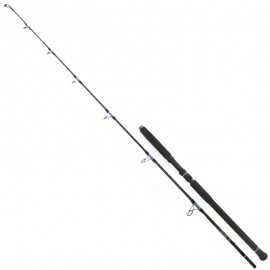 8428679033945-Saltywater Tackle Race Point 250 75" 2,28 mt Máx 200 gr