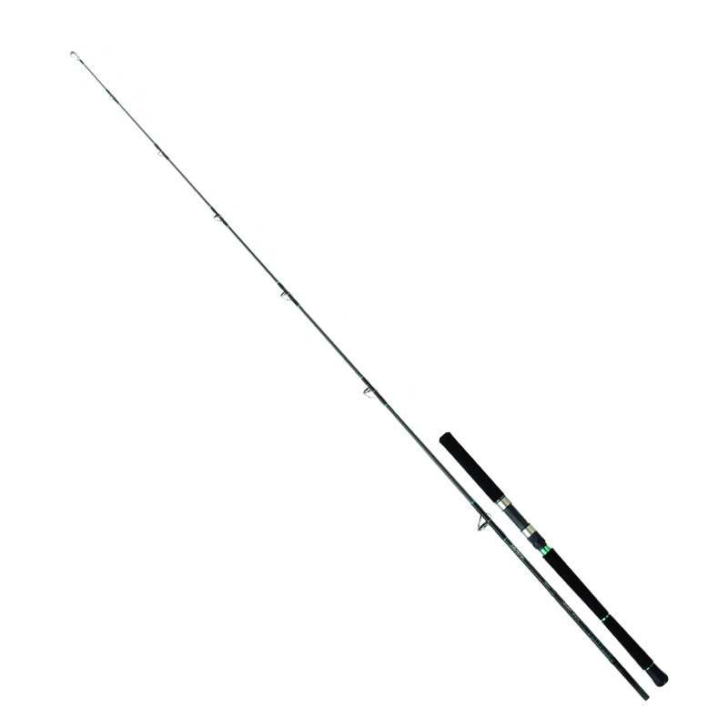 3660393254496-Daiwa Saltist Cosmic Dancer 742 H 2.24 mt 30-70 gr