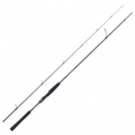 Daiwa Saltist AGS II 802HFS 2.44 Mt 14-42 Gr