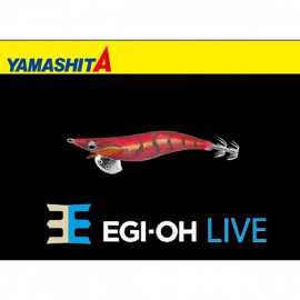 G7245-Yamashita Egi OH Q Live  2.5 - 10 gr