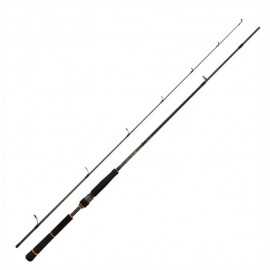 Daiwa BG Seabass 732 MXS-CF 2,21 m 5-21 gr