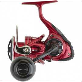 Daiwa BGRR LT 6000D-ARK