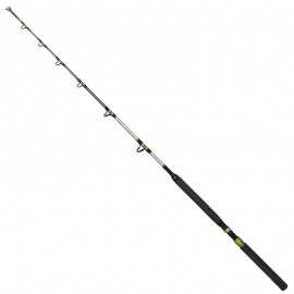 Shimano Catana BX Stand up 16-20 Lb 1.65 mt