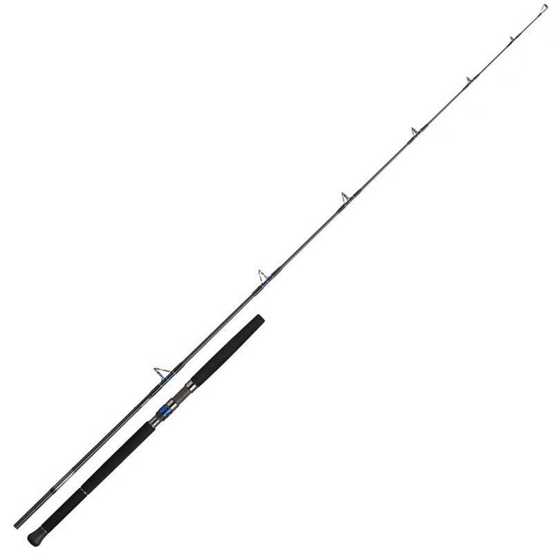 3660393379090-Daiwa Saltiga Blue Fin 78 2.34 Mt 30-100 Gr